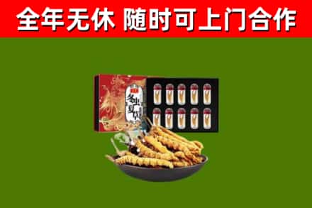 钟祥回收冬虫夏草价格